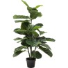 Deco Plant  Fiddle Leaf 120cm Kare Design