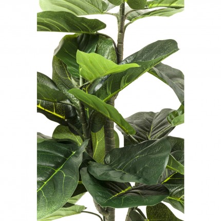 Plante décorative Figuier lyre 120cm Kare Design