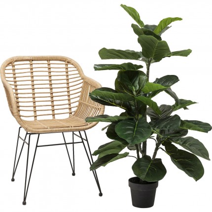 Plante décorative figuier lyre 120cm Kare Design