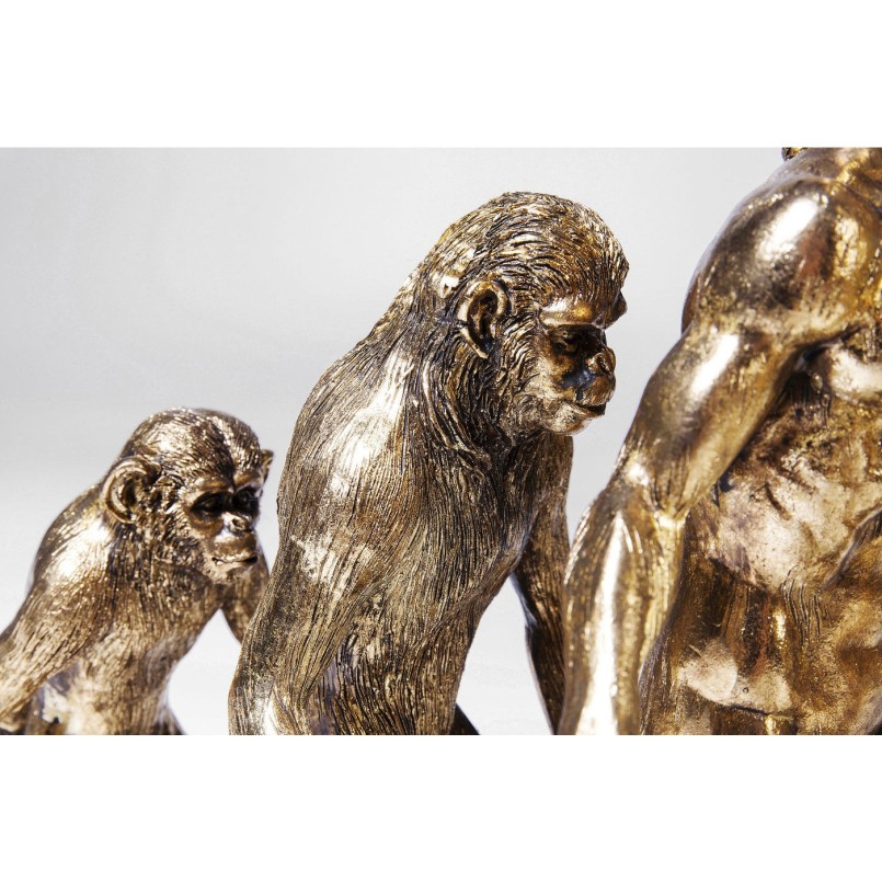Déco évolution Homme Kare Design