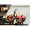 Coupe Lapin Kare Design