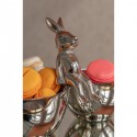 Coupe Lapin Kare Design