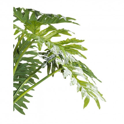 Plante décorative thaumatophyllum 175cm Kare Design