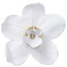 Wall Decoration Orchid White 54cm Kare Design