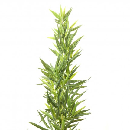 Plante décorative bambou 200cm Kare Design Plante décorative bambou 200cm Kare Design