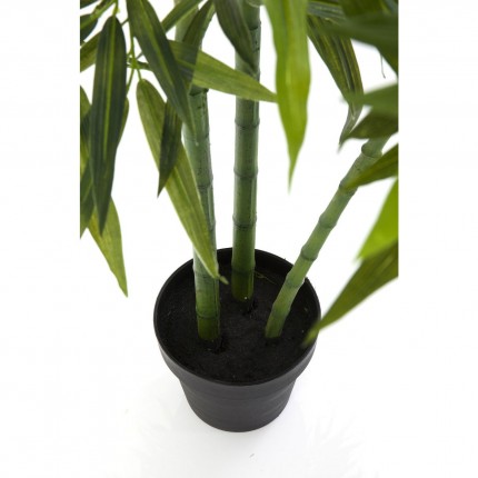 Plante décorative Bamboo Tree 200cm Kare Design