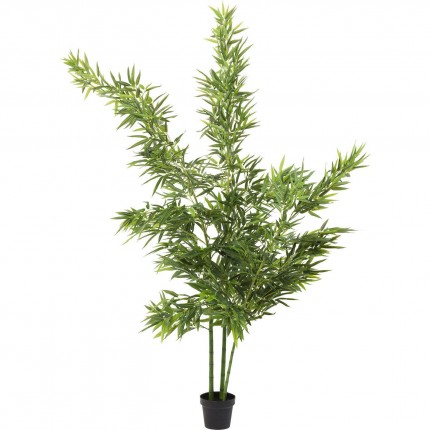 Plante décorative bambou 200cm Kare Design Plante décorative bambou 200cm Kare Design