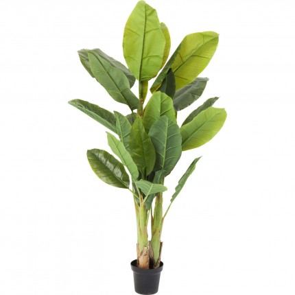 Plante décorative bananier 180cm Kare Design