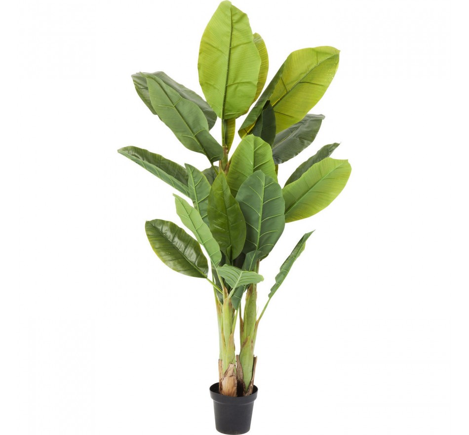Deco Plant banana tree 180cm Kare Design Deco Plant banana tree 180cm Kare Design