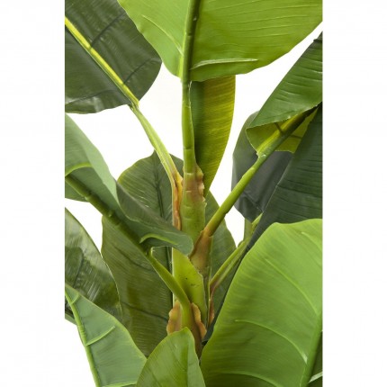 Plante décorative Bananier 180cm Kare Design