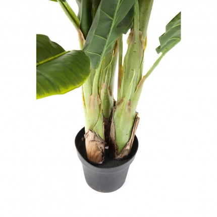 Plante décorative Bananier 180cm Kare Design