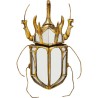 Déco murale miroir Scarabée 37cm Kare Design