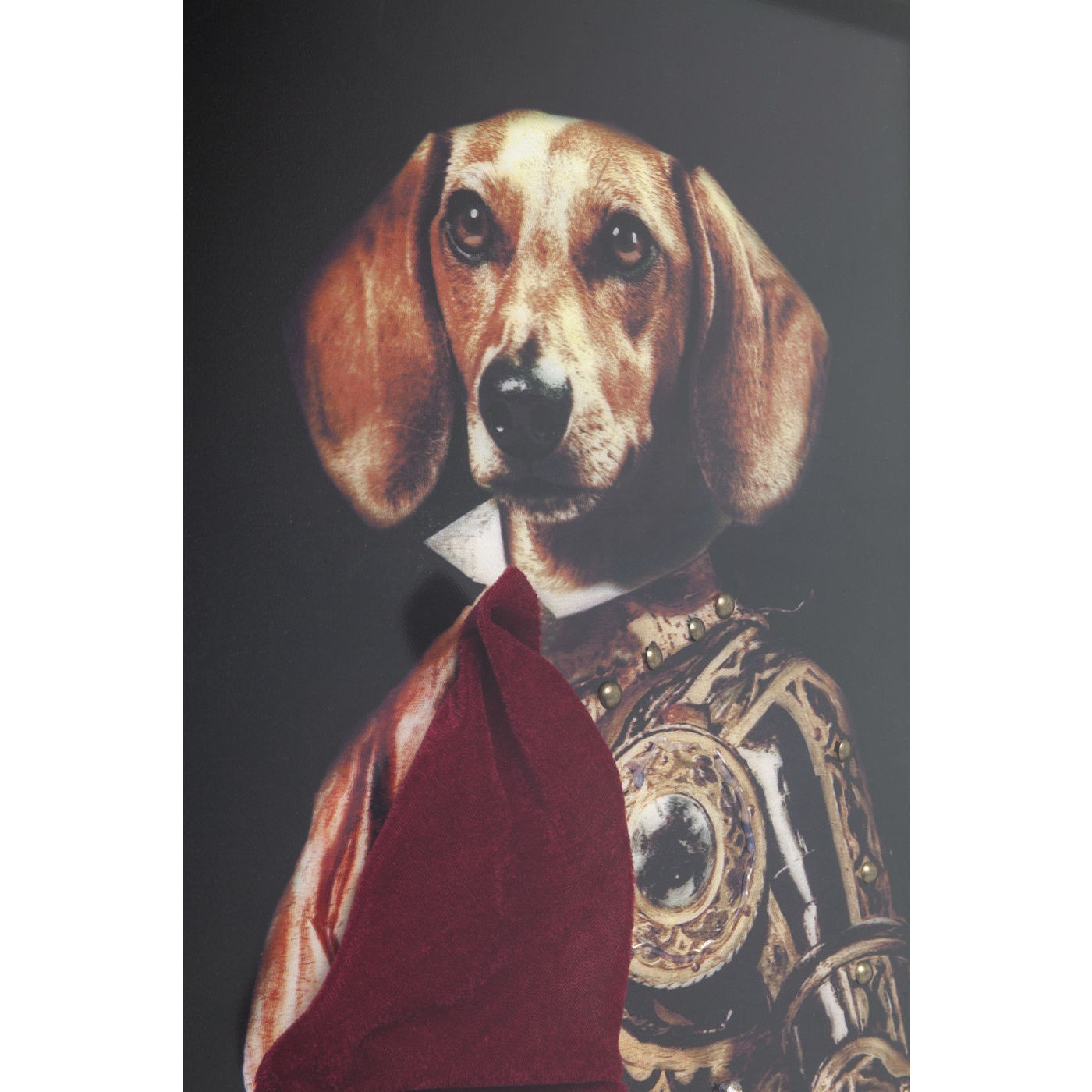 Tableau Frame chien en armure 60x80cm Kare Design