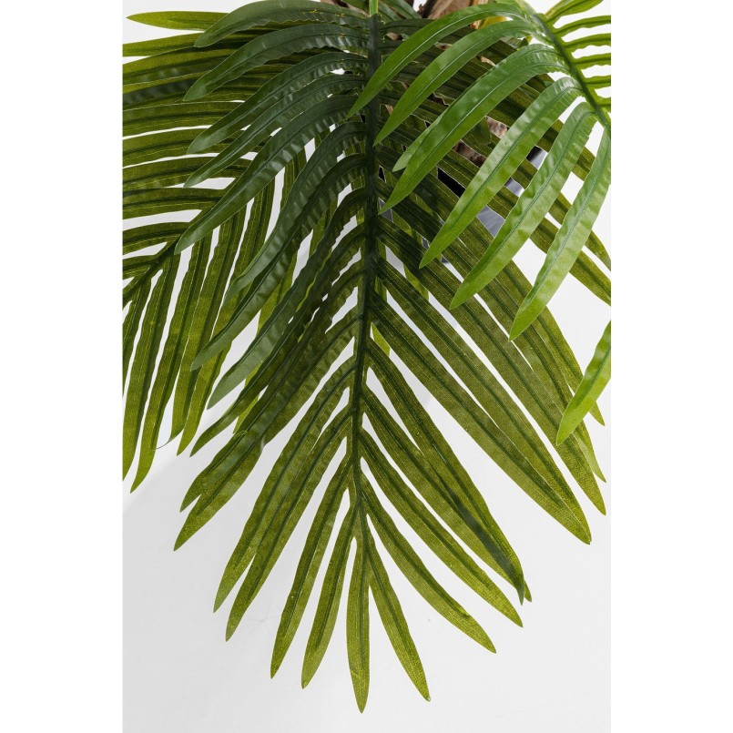 Plante décorative Palmier 190cm Kare Design