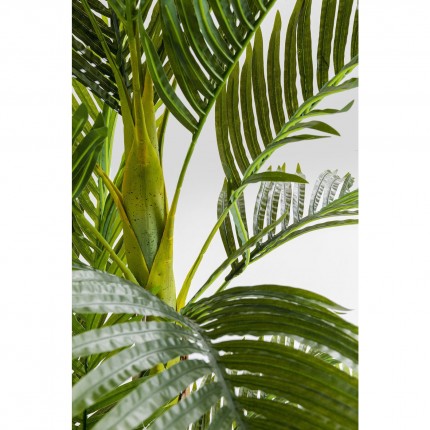 Plante décorative Palmier 190cm Kare Design