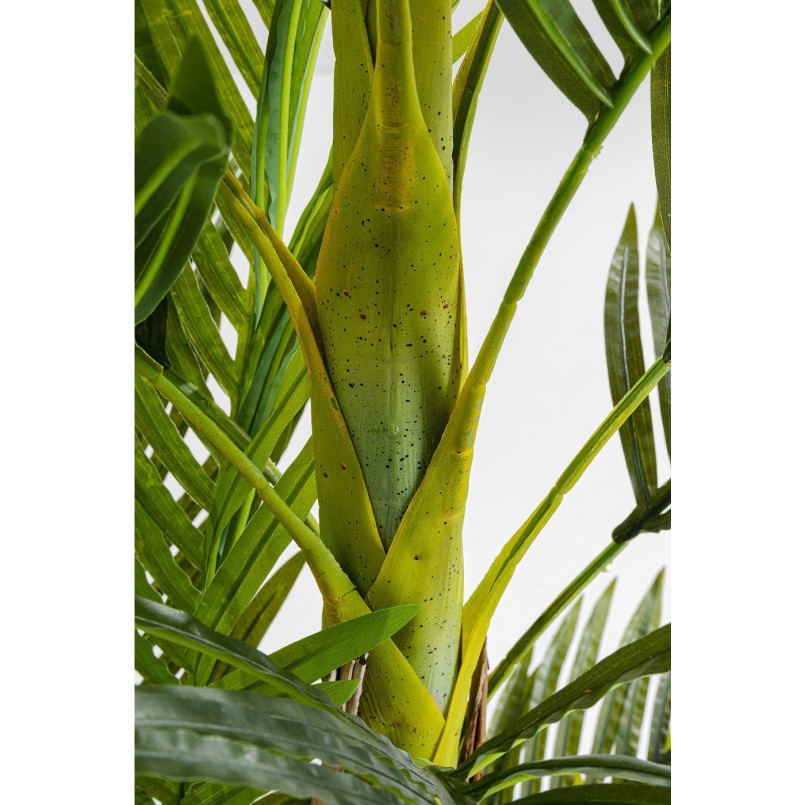Plante décorative Palmier 190cm Kare Design