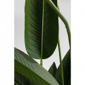 Plante décorative Oiseau de paradis 190cm Kare Design