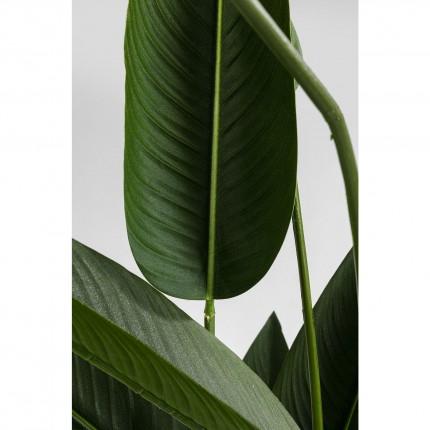 Plante décorative oiseau de paradis 190cm Kare Design