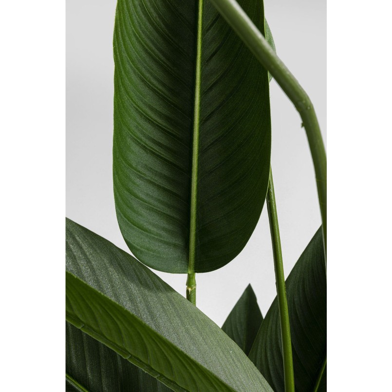 Plante décorative Oiseau de paradis 190cm Kare Design
