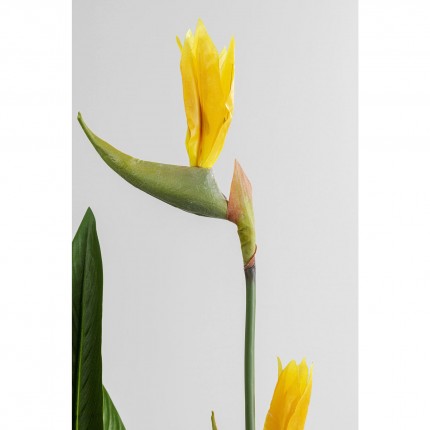 Plante décorative oiseau de paradis 190cm Kare Design