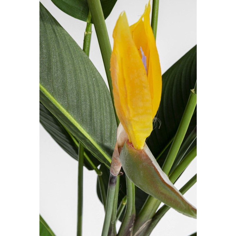 Deco Plant Paradise Flowers 190cm Kare Design