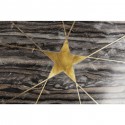 Table d'appoint Mystic Pentagon grise 52cm Kare Design