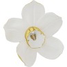 Décoration murale Orchid White 44cm