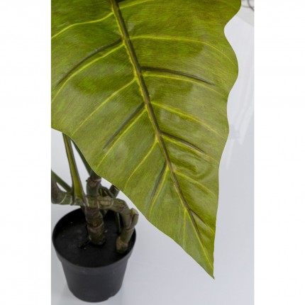 Plante décorative Taro 180cm Kare Design