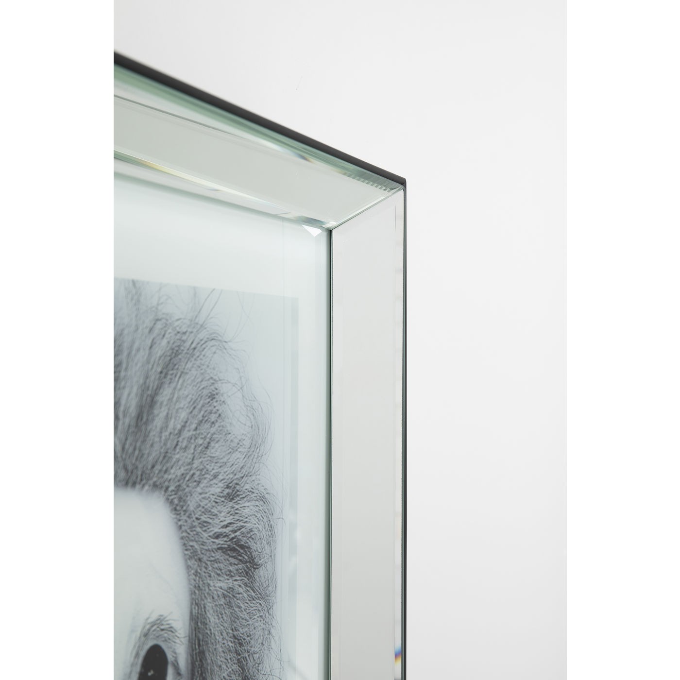 Tableau Frame miroir chien physicien 60x60cm Kare Design