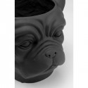 Cache-pot Bulldog noir Kare Design