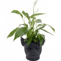 Cache-pot Bulldog noir Kare Design