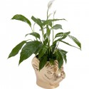 Cache-pot Bulldog doré Kare Design