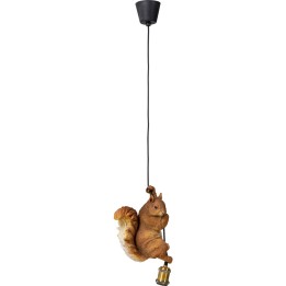 Suspension Squirrel