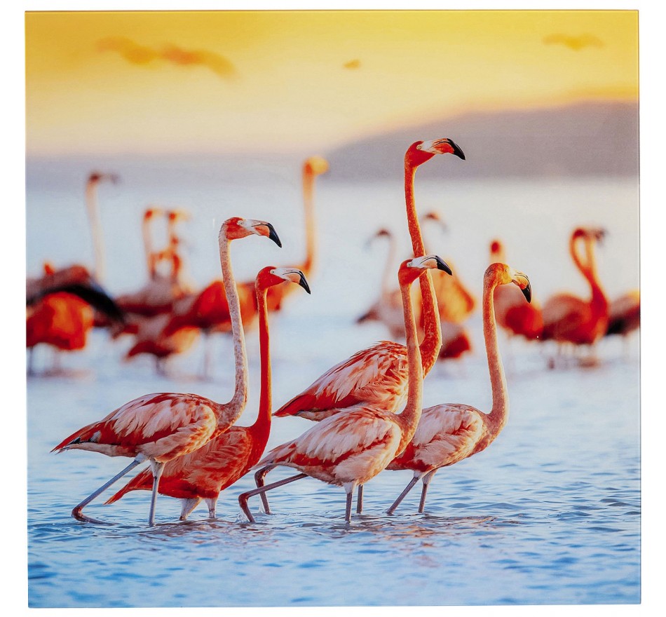 Tableau en verre famille flamants roses 80x80cm Kare Design