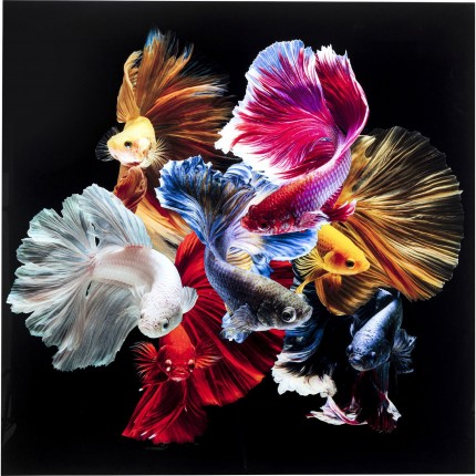 Tableau en verre Colorful Swarm Fish 120x120cm Kare Design