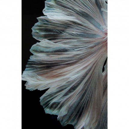 Tableau en verre Colorful Swarm Fish 120x120cm Kare Design