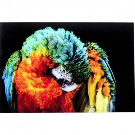 Tableau en verre perroquet 120x80cm Kare Design