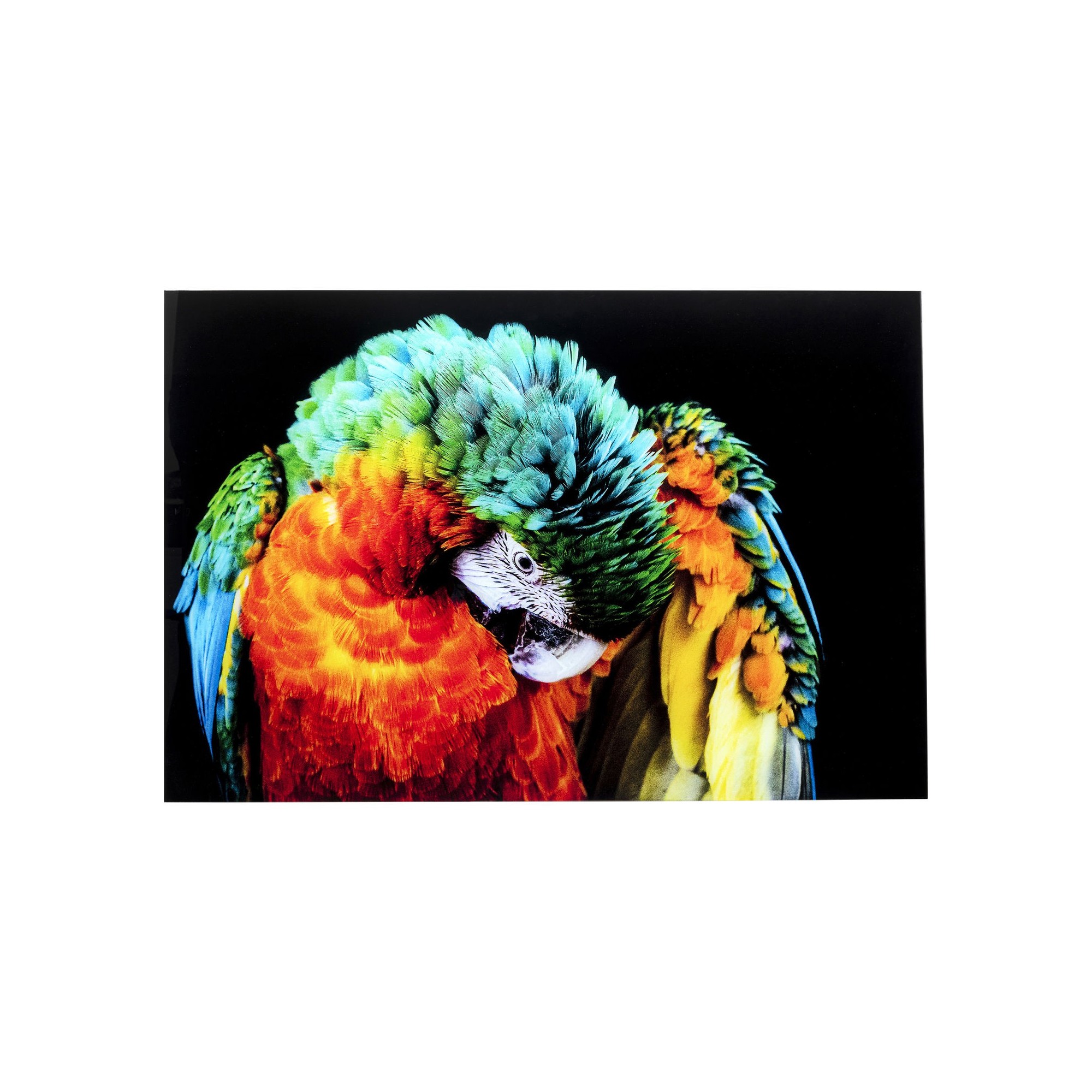 Tableau en verre perroquet 120x80cm Kare Design