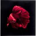Tableau en verre poisson rouge 100x100cm Kare Design