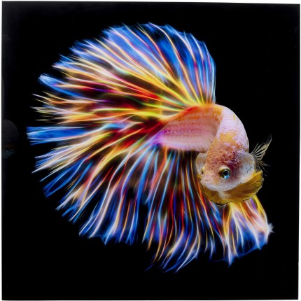 Tableau en verre poisson arc-en-ciel 100x100cm Kare Design
