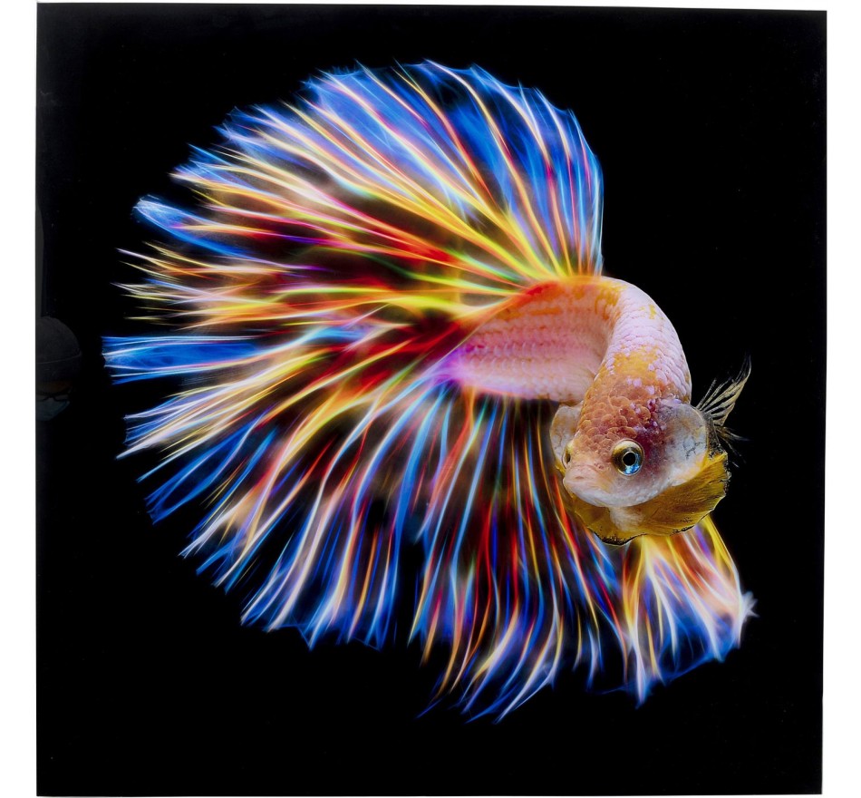 Tableau en verre poisson arc-en-ciel 100x100cm Kare Design