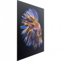 Tableau en verre poisson arc-en-ciel 100x100cm Kare Design