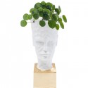 Cache-pot Jeffrey 80cm Kare Design