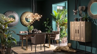 Plante décorative
