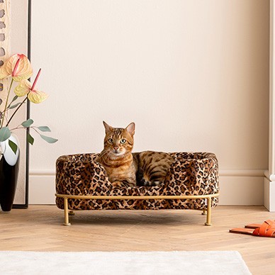 Lit pour animaux