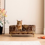 Lit pour animaux
