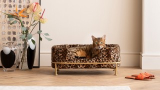 Lit pour animaux