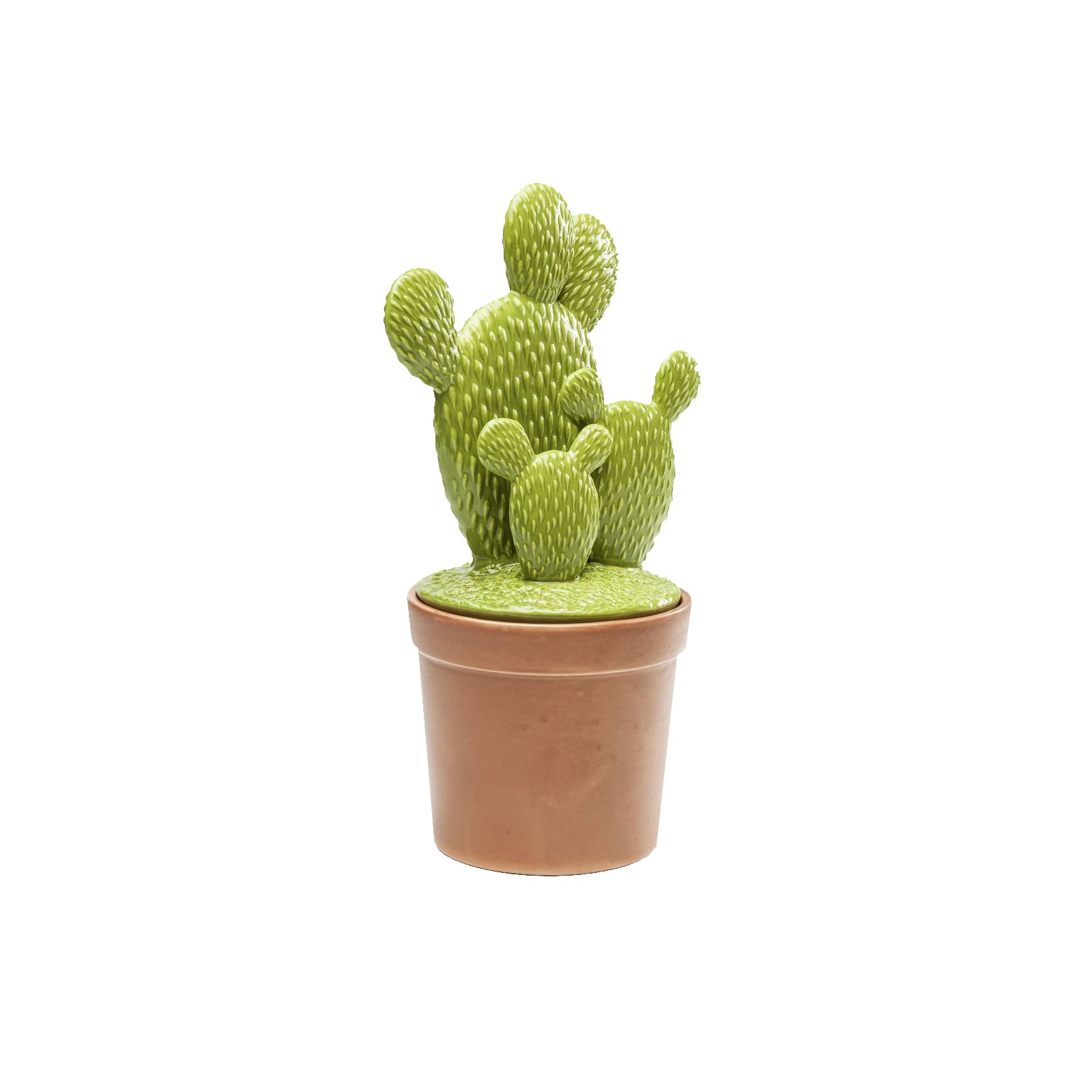 Idée déco la tendance cactus - KARE CLICK Idée déco la tendance cactus - KARE CLICK